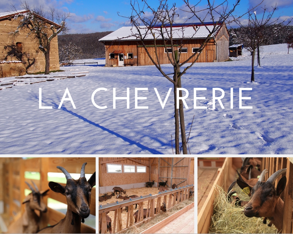 ferme caprine a reprendre ferme caprine a reprendre