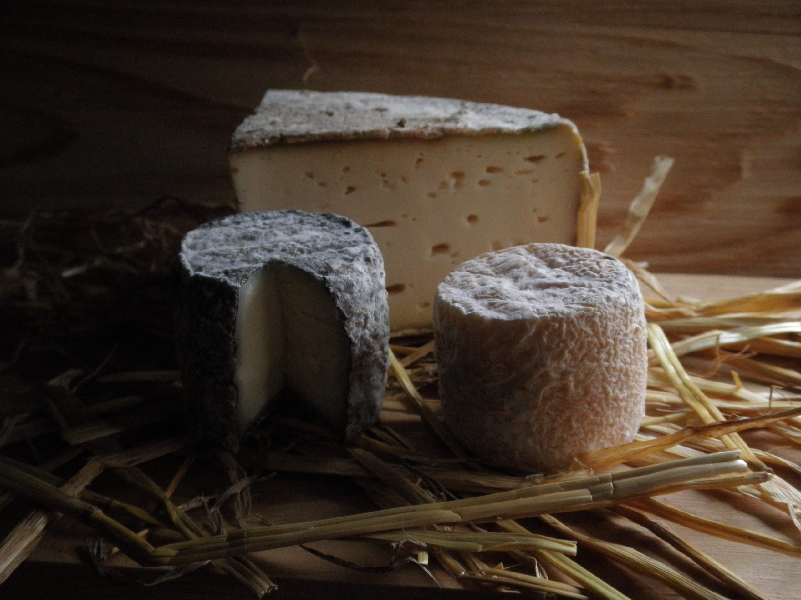 Nos appuis techniques en fromagerie